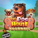 Bons India casino slot The Dog House Megaway